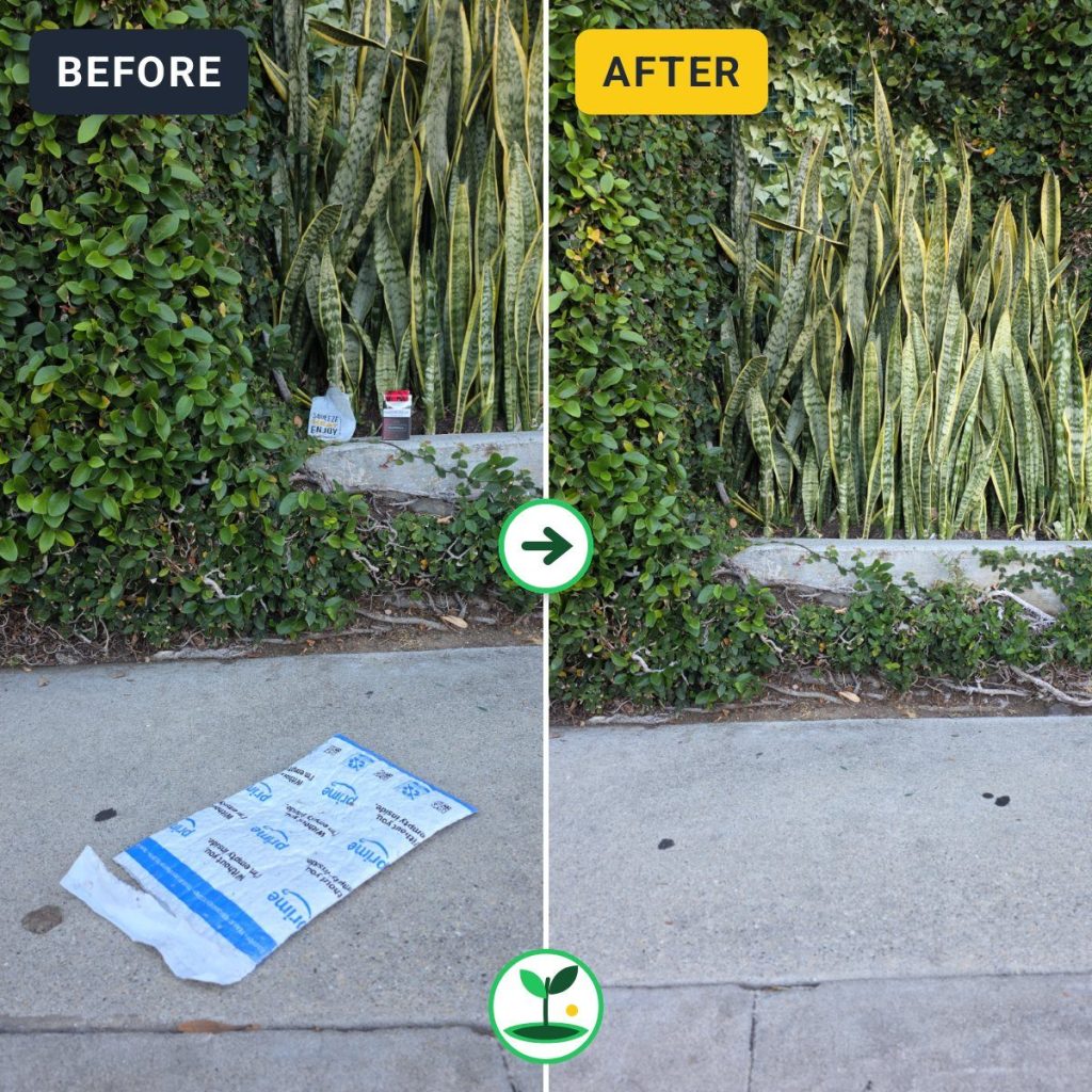 Volunteer Removes Amazon Shipping Envelope from West Olympic Boulevard Sidewalk — before and after comparison