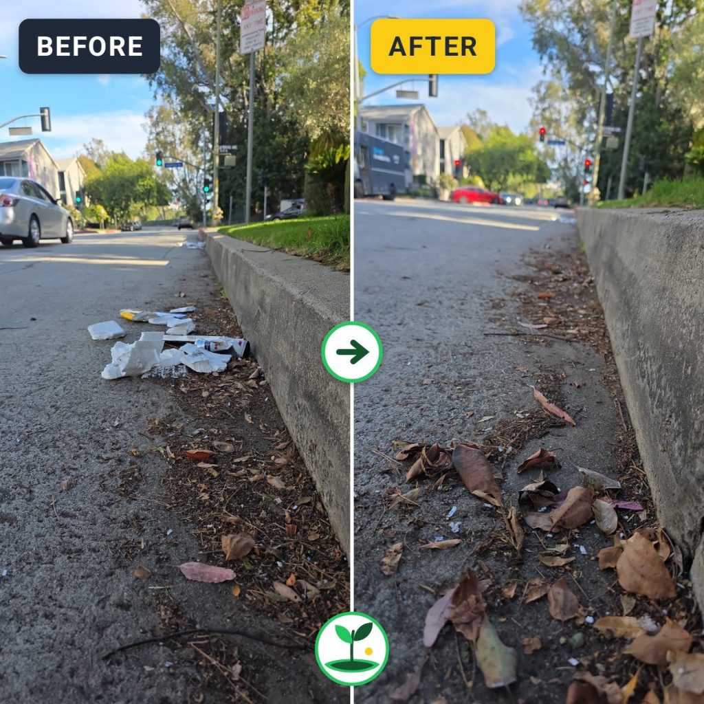 Veteran Avenue, Los Angeles Cleanup — Jul 3, 2026 — before and after comparison