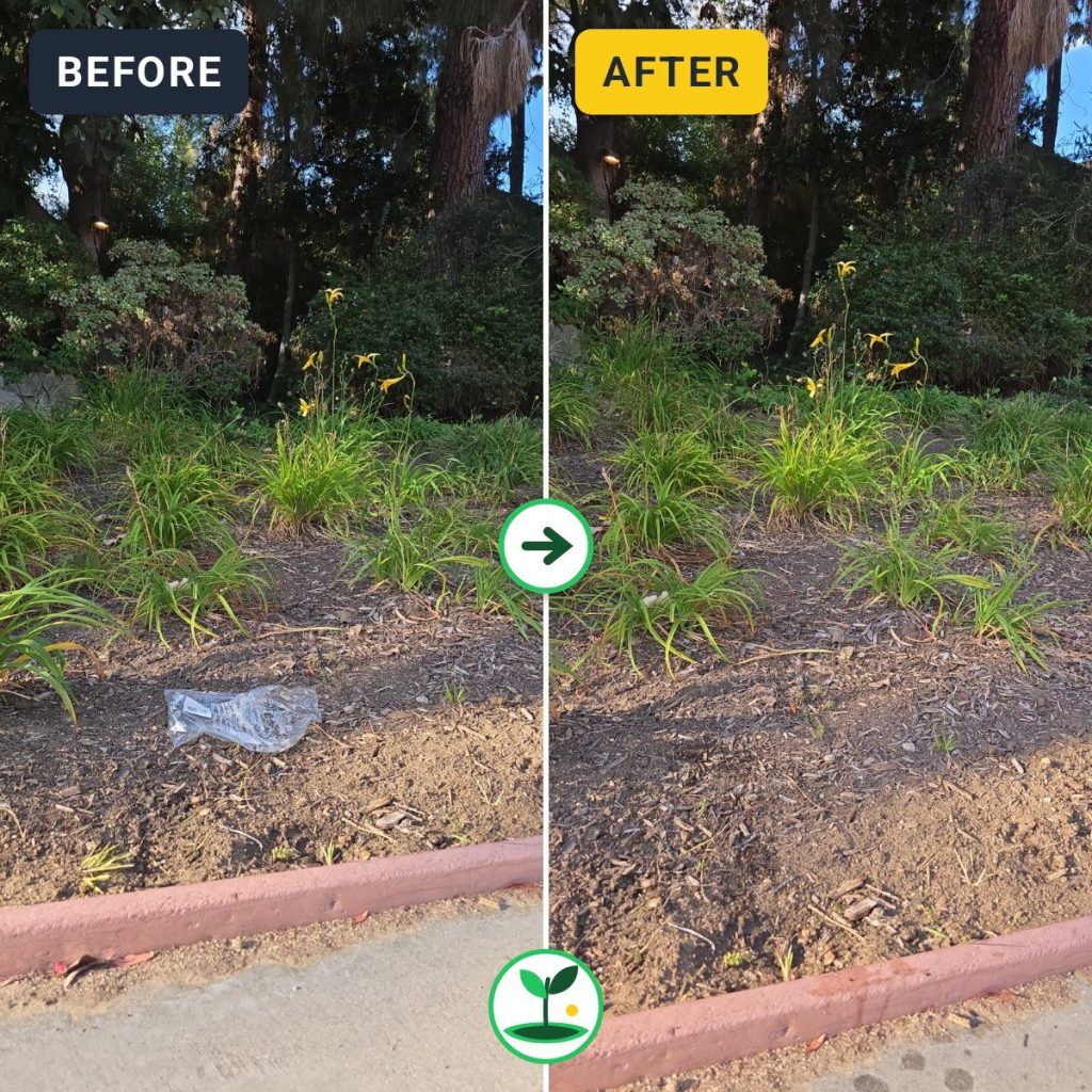 Gayley & Veteran (Westbound), Los Angeles Cleanup — Jul 3, 2026 — before and after comparison