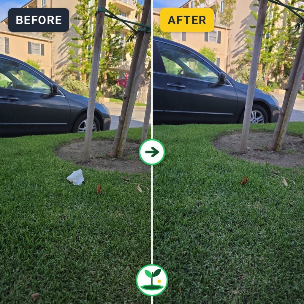Veteran Avenue, Los Angeles Cleanup — Jul 3, 2026 (6:13 PM) — before and after comparison
