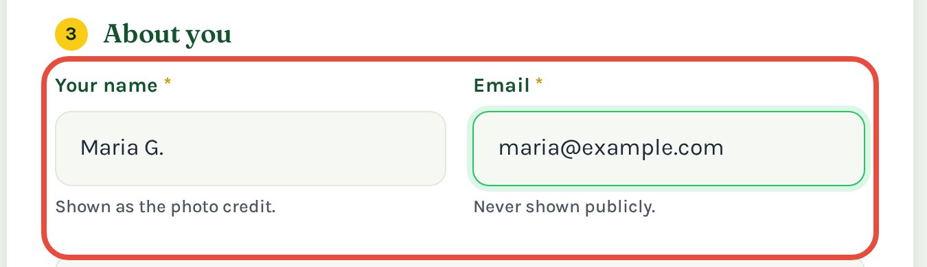 The name and email fields