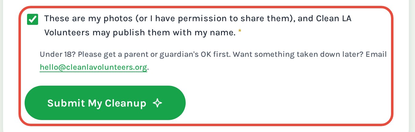 The permission checkbox and the Submit My Cleanup button